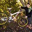 Polygon DH Team-Bike