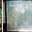 Share The Trail - Demo Forest