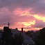 Auckland 2