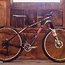 Rotwild R2 29er Race-Bike von Sofia Wiedenroth
