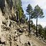 Der "Prof" auf La Palma