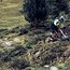 Masters-Sieger Wildfred van de Haterd