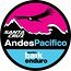 Logo Andes Pacifico 2015