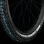 Schwalbe Hans Dampf 2018