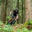 Auch mit hohem Sattel fetzen die Bike-Profis mit ordentlich Speed durch die Kurven im Gelände