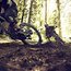 Bikepark Serfaus Fiss Ladis