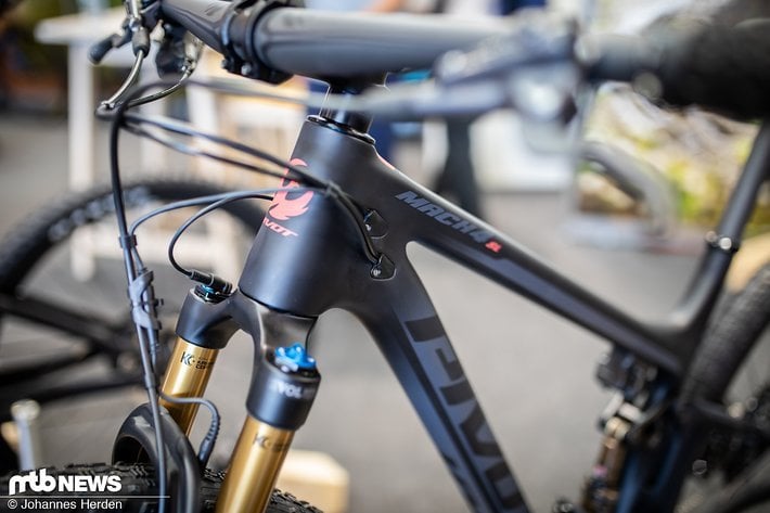 e bike pivot 2020