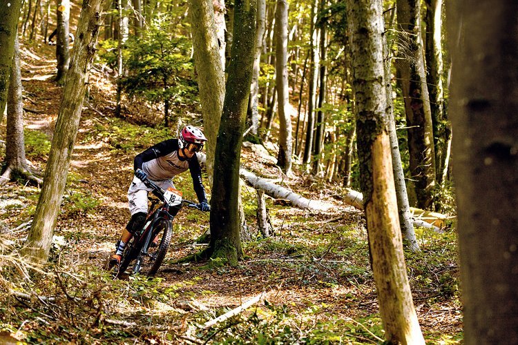 Die Rennen werden im Blindracing-Modus gefahren, es gibt also kein Training und damit weniger Stress Die Rennen werden im Blindracing-Modus gefahren, es gibt also kein Training und damit weniger Stress