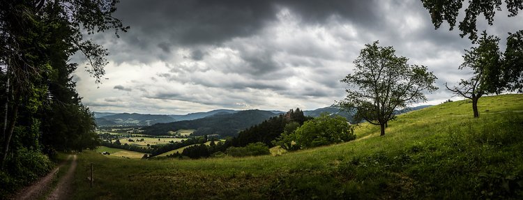 Immer wieder kommt es deswegen zu Konflikten mit dem Naturschutz und Artenschutz. Immer wieder kommt es deswegen zu Konflikten mit dem Naturschutz und Artenschutz.