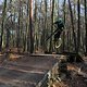 IMG 1918