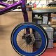 Cannondale Hooligan 2018 (Pinion P1.12, Gates, Laser Purple, H+Son) DT Swiss Lefty with H+Son polished blue rims.