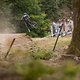 Whip - DHC Ilmenau 2024