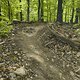 Gratis Wurzeltrail