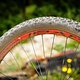 Specialized Camber S-Works 2014-Details-19