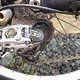 IMG 1369