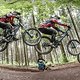 Zielsprung im Bikepark Beerfelden