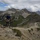 IMG 4494