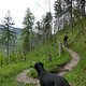 Trail Watchdog