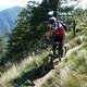 20110816 1614 P1080675 DMC-TZ5 Colico bearb