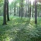 Sommerrevier0021
