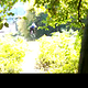 vlcsnap-2011-10-03-14h44m34s183