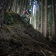 steep and loamy