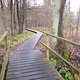 IMG 20151129 124103