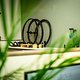 Newmen Hausbesuch 2024-215