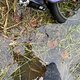 Winterpokal-Aktivität