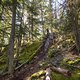 BC Sea to Sky - Get down on it