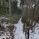 Samstagmorgenrunde - Der Kampf mit dem Eis 🚲❄️