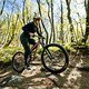 PROPAIN-Tyee-6-1-AL-MY25-eignerframes DSC8229