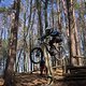 Bike Beerfelden P 304