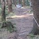 IMG 1006Large
