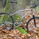 Cruiser2011-11-112-Kopie