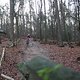 IMG 1250