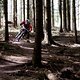 Der Flowtrail im oberen Bereich, hier wird dieses Jahr erstmalig ein Enduro-Rennen ausgetragen