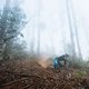 Insbesondere auf den extrem schnellen und etwas ausgebauteren Downhill-Strecken in Madeiras Eukalyptuswäldern war das Nukeproof Mega voll in seinem Element und würde wohl auch in den meisten Bikeparks keine schlechte Figur machen.
