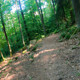 Eberbach Trail