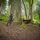08L Chatel - Falco Trail