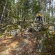BC Squamish - Pleasure Trail