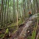 BC Squamish - Mark my Word