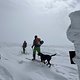 IMG 7795