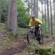 Trailcenter Bad König