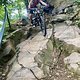 IMG 5978