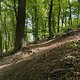 Gratis Wurzeltrail