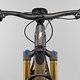 IZZO-29-CF-Core4-CraneGold 0101 w