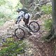 DSCF8239