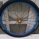 Blauer King