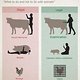 Guide to animal rights